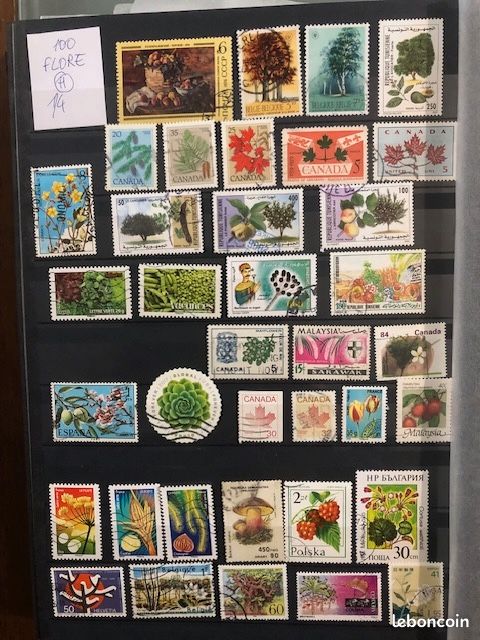 19 ORCHIDÉES Vintage D'occasion, Collection De Timbres-poste, Cadeau De Jardinier D'art De Timbres 19CHIDB - France