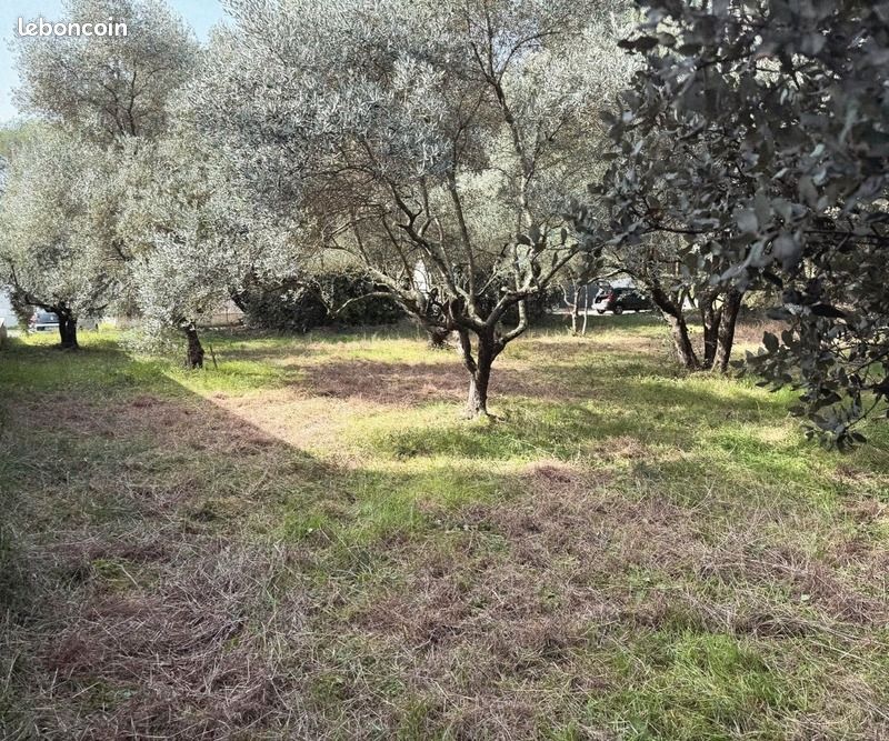 Terrain 529 m² Castries · 314 500 €