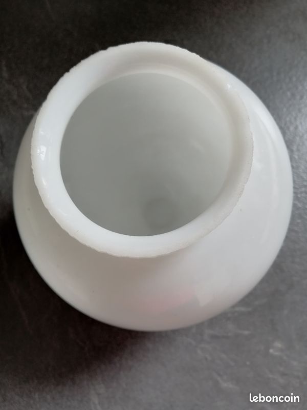 Globe opaline (image 2)