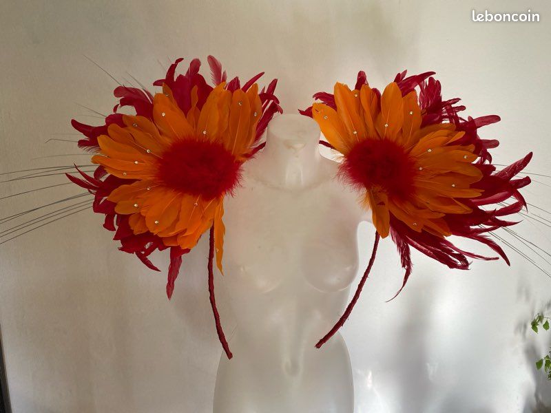 Costume de samba (image 1)