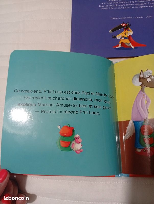 Livres P'tit loup (image 4)