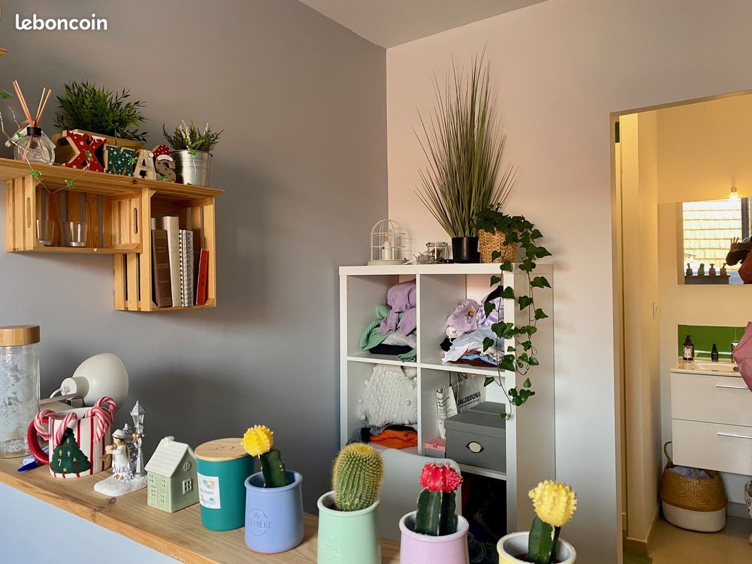 Appartement 4 pièces 60 m² - Bordeaux 33000 (image principale 8)