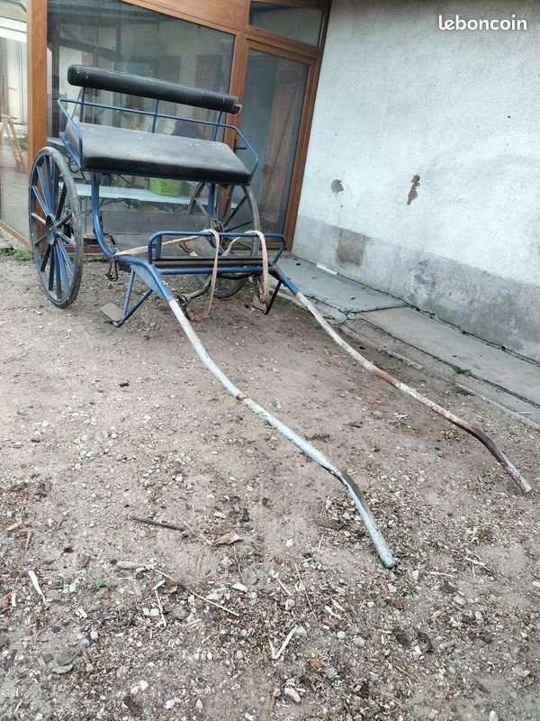 Calèche deux roues cheval (image 2)