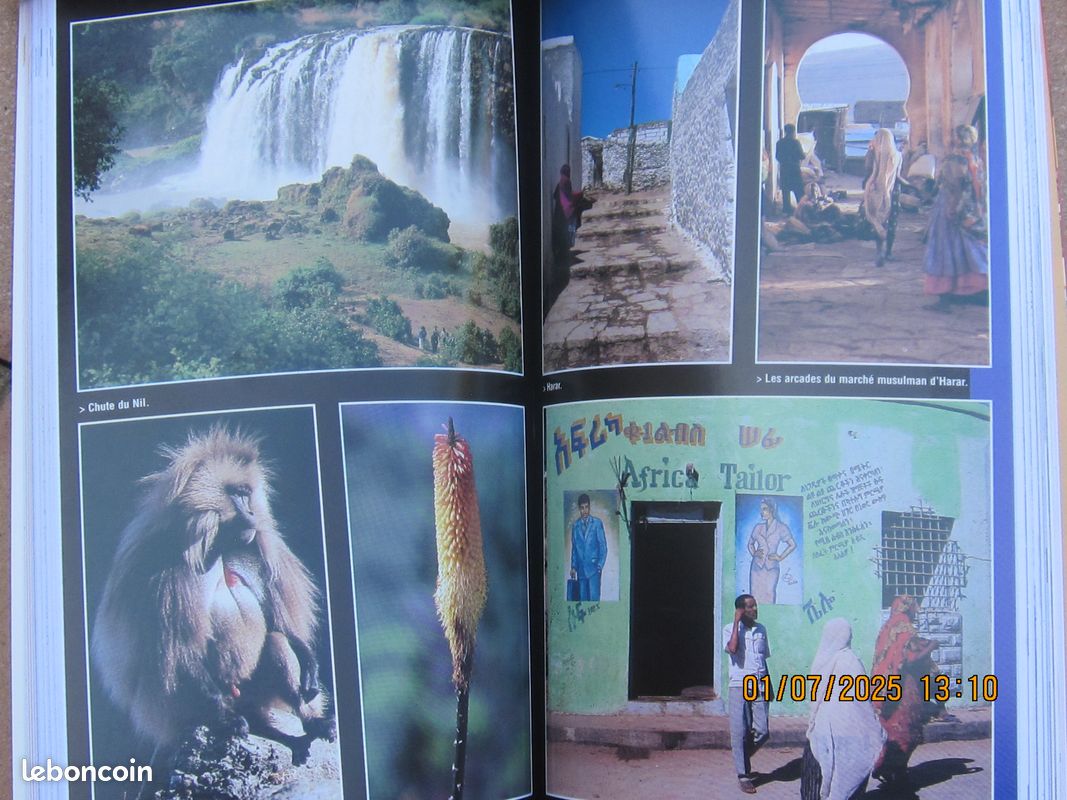 Guides de voyage "Le petit futé" (image 15)