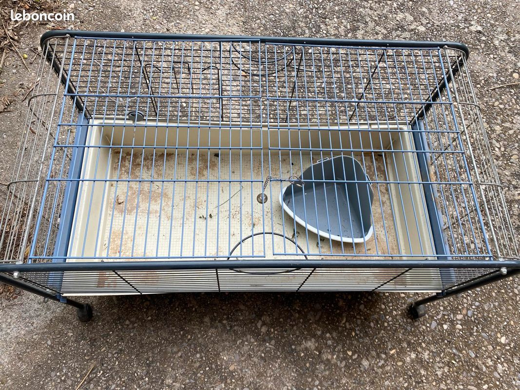 Cage a roulette (image 1)