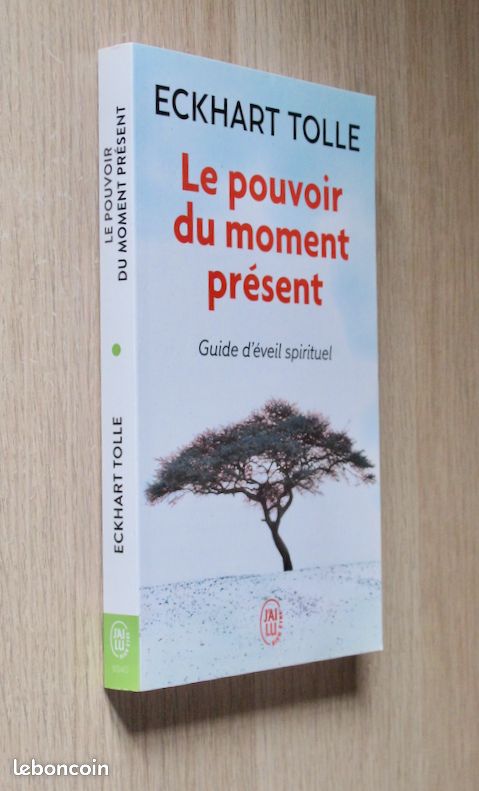 Eckhart Tolle Le Pouvoir Du Moment Pr sent Livres eckhart-tolle-le-pouvoir-du-moment-pr-sent-livres