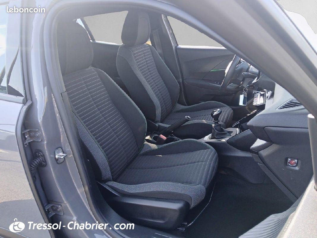 PEUGEOT 2008 PureTech 100 S&S BVM6 Active (image 14)