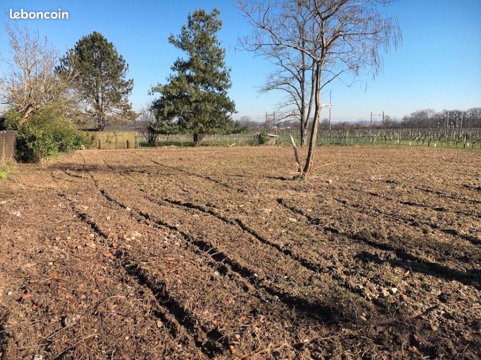 Terrain 650 m² · à Saint-Selve · 140 000 €