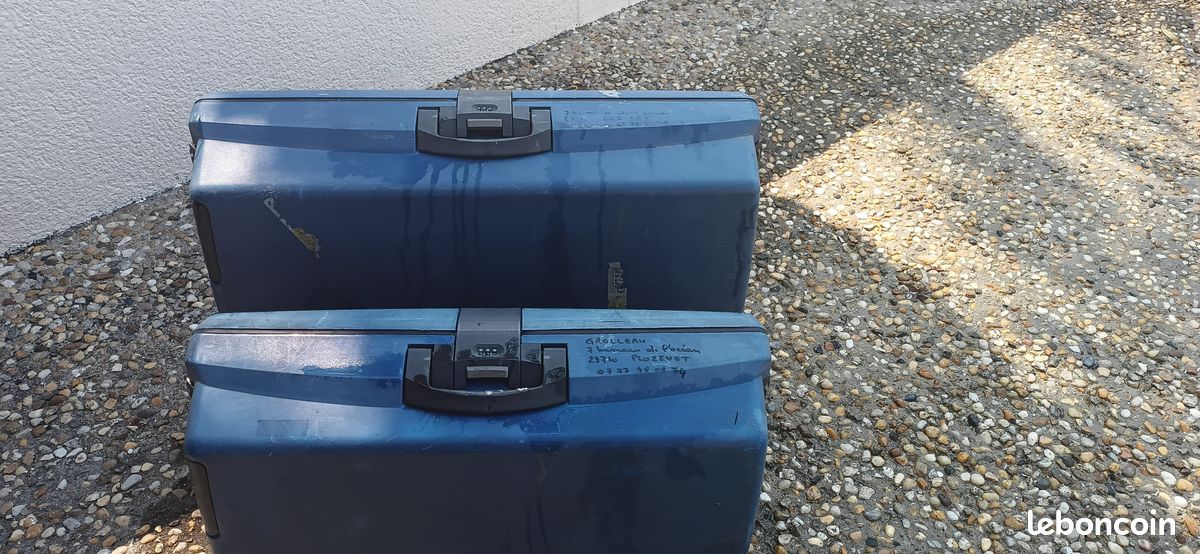 Valises (image 1)