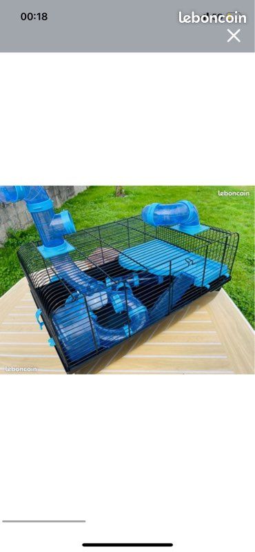 Cage hamster (image 1)