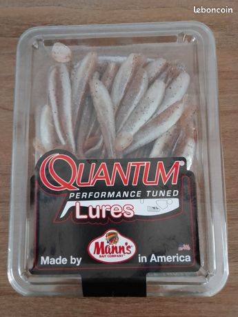 Leurre souple quantum bisswunder - 16cm - par 2