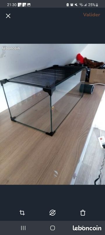 Aquarium avec accesoire (image 2)