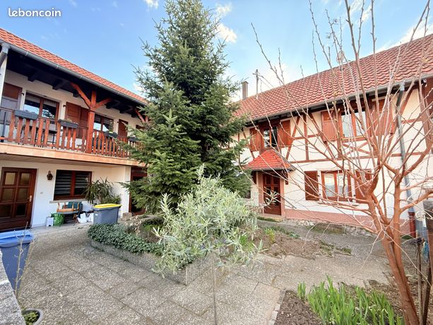 Immeuble 255 m² Hoerdt