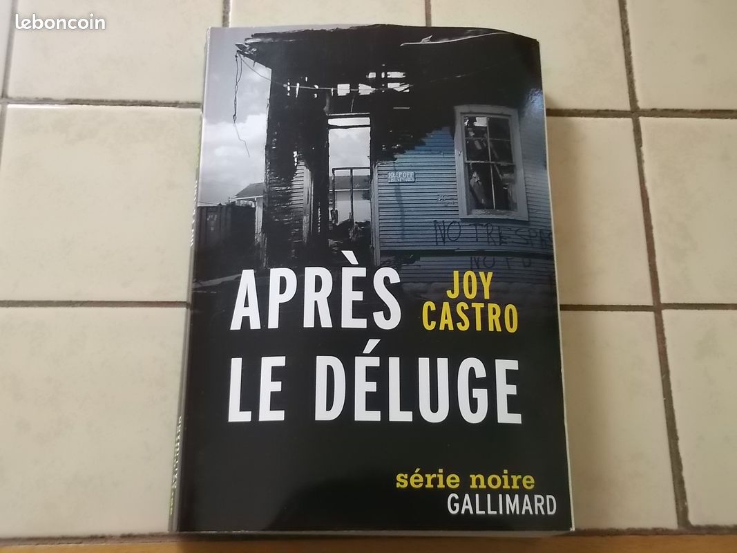 Après le déluge (image 1)
