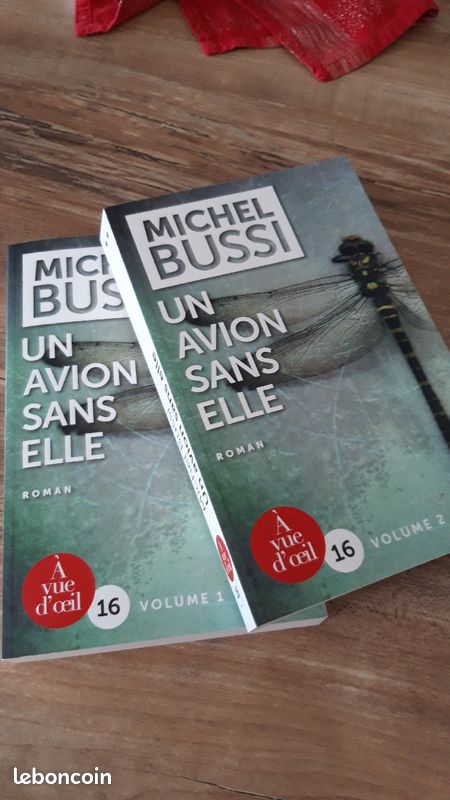 Livre Michel Bussi - Un avion sans elle - Taille 16 (image 2)