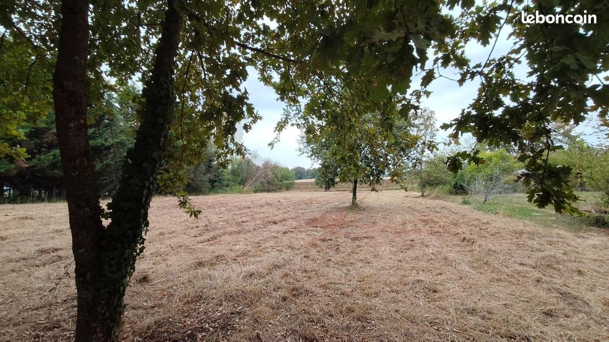 Terrain 3 620 m² Le Houga · 25 000 €