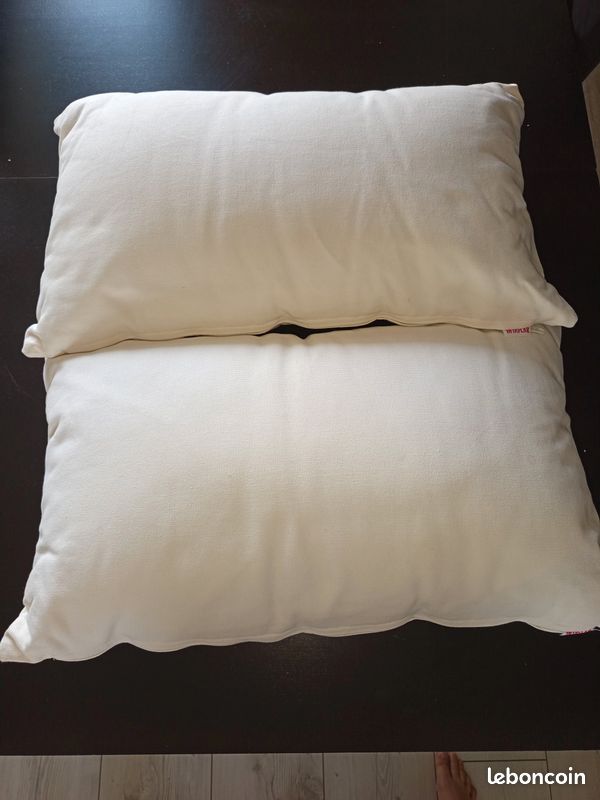 Lot de 2 coussins de canapé (image 1)