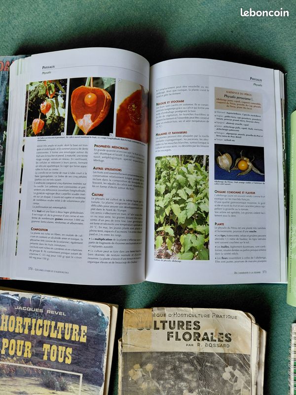 Lot de 8 livres horticulture légumes mauvaises herbes (image 6)