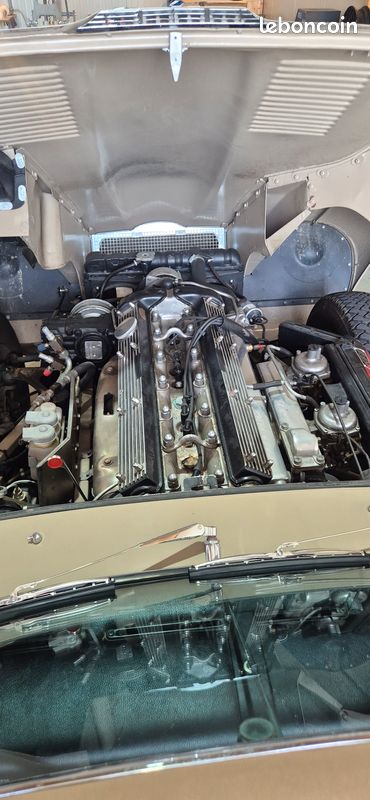 Jaguar type E (image 4)