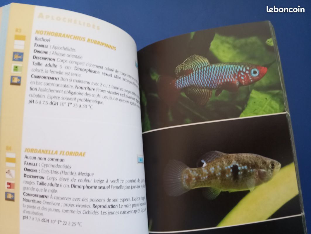 Livres poissons d'aquarium (image 5)