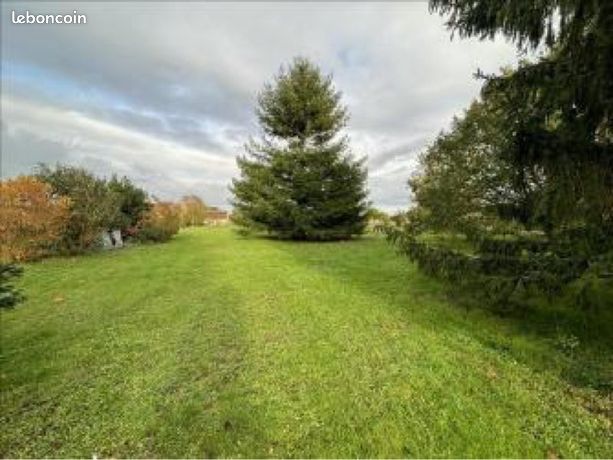 Terrain constructible