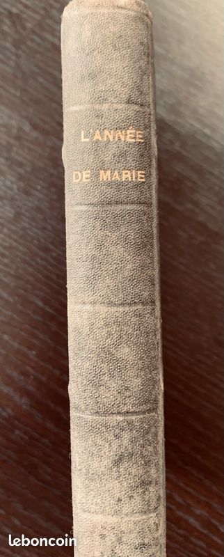 Livre religieux catholique de 1866 l’année de Marie (image 4)