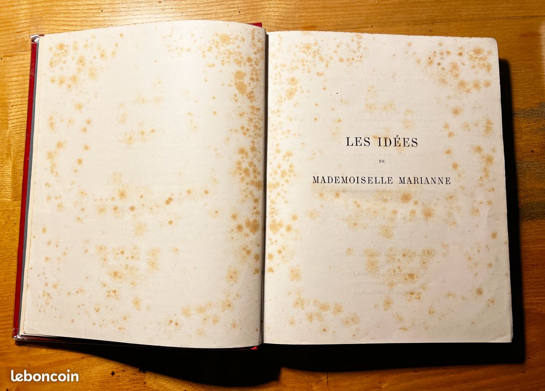 Livre - Les idées de Mlle Marianne de Emile Desbeaux (image 2)