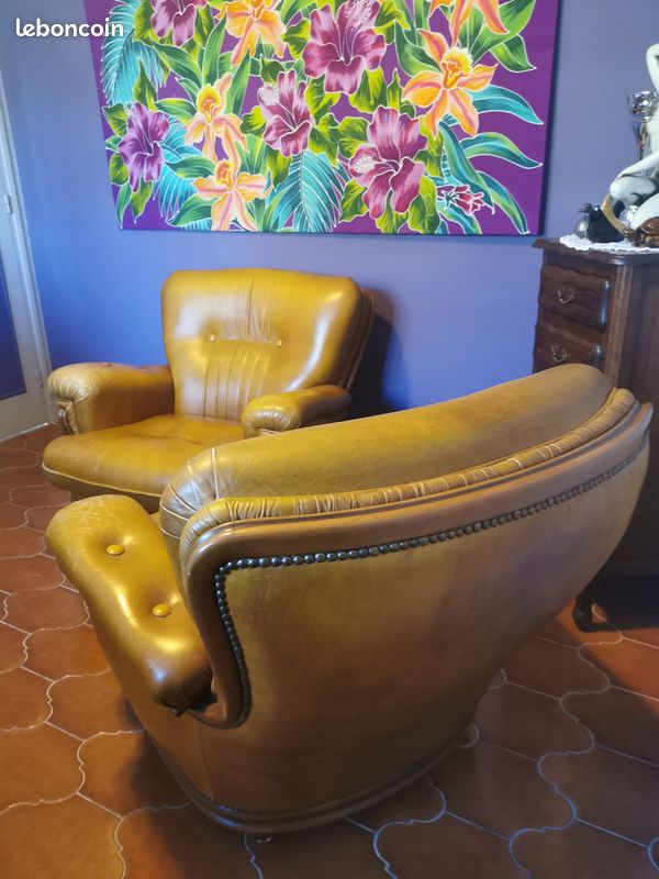 2 Fauteuils cuir (image 2)