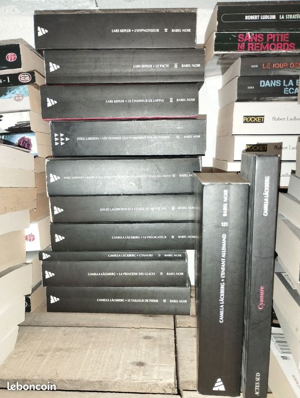 Lot polars auteur Kepler, Larsson (millenium), camilla lackberg, 3 euros par livre (image 1)