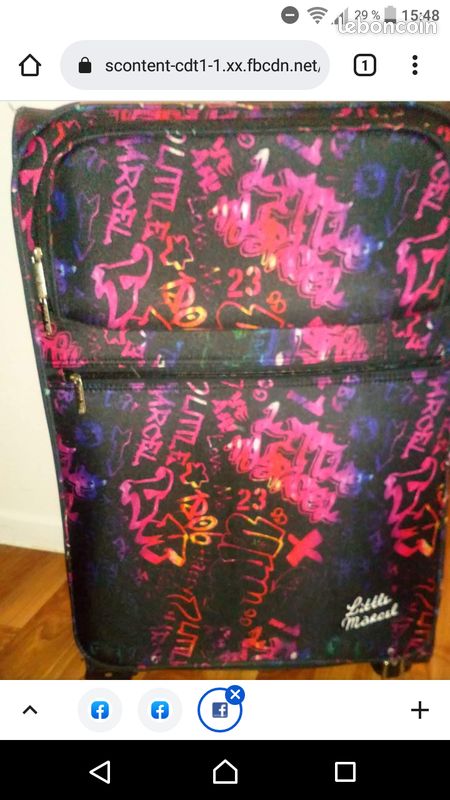 Valise (image 2)