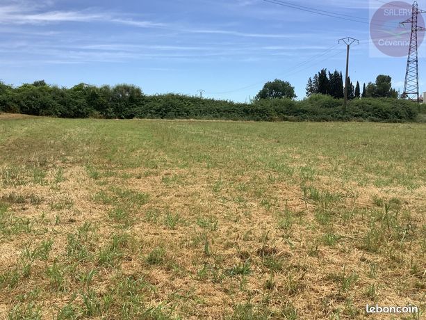 Terrain 8871 m² SAINT JEAN DE SERRES