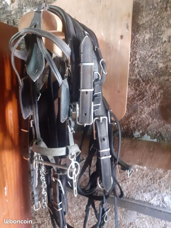 Harnais cuir (image 1)