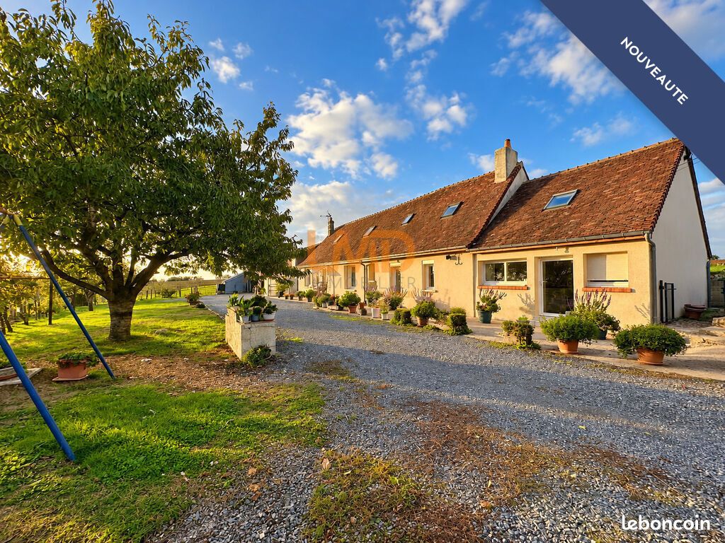 Maison 7 pièces 169 m² · à Sargé-sur-Braye · 169 m² · 193 000 €