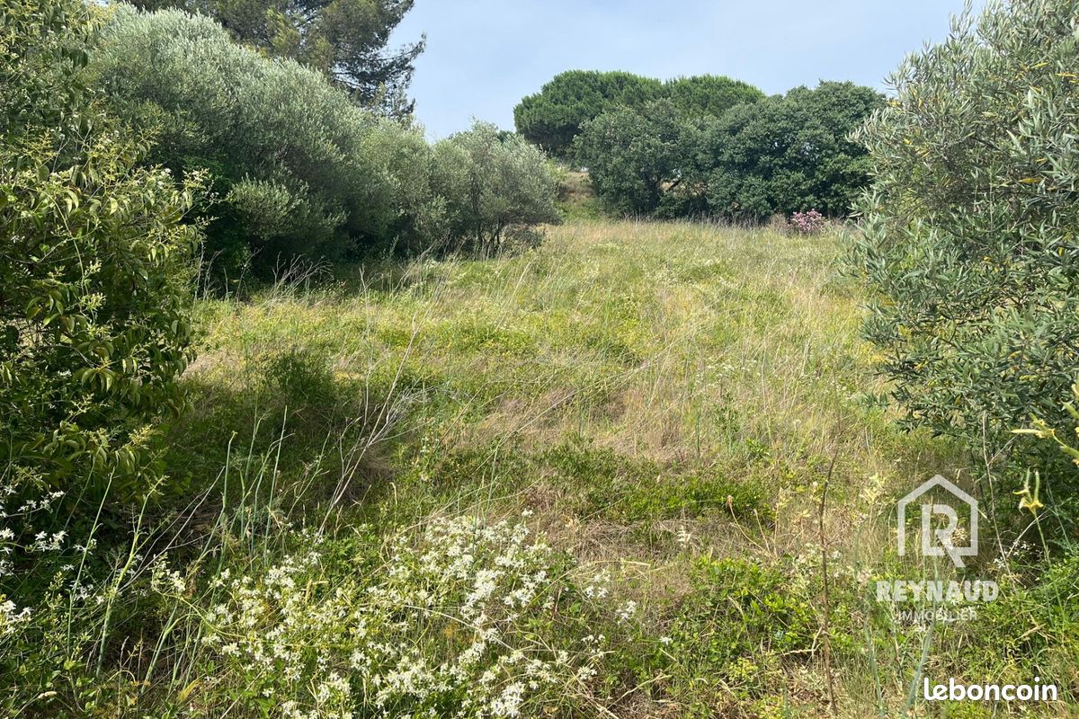 Terrain 2200 m² · à Aspiran · 2 200 m² · 292 000 €
