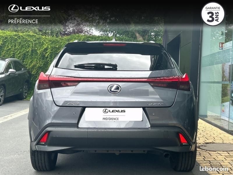 Lexus UX 250h 4WD Luxe MY19 (image 5)