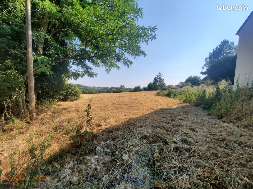 Terrain 408 m² · à Quincy-Voisins · 408 m² · 119 900 €