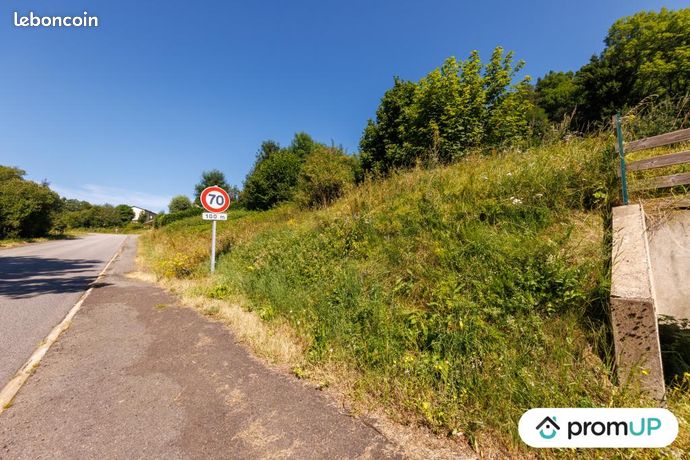 Terrain 800 m² Murat Le Quaire