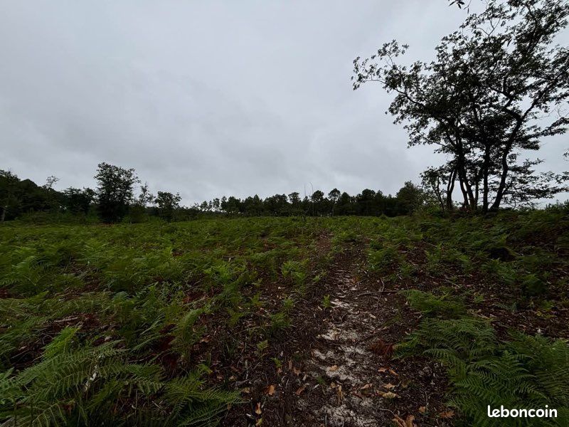 Terrain 9860 m² · à Corzé · 10 000 €