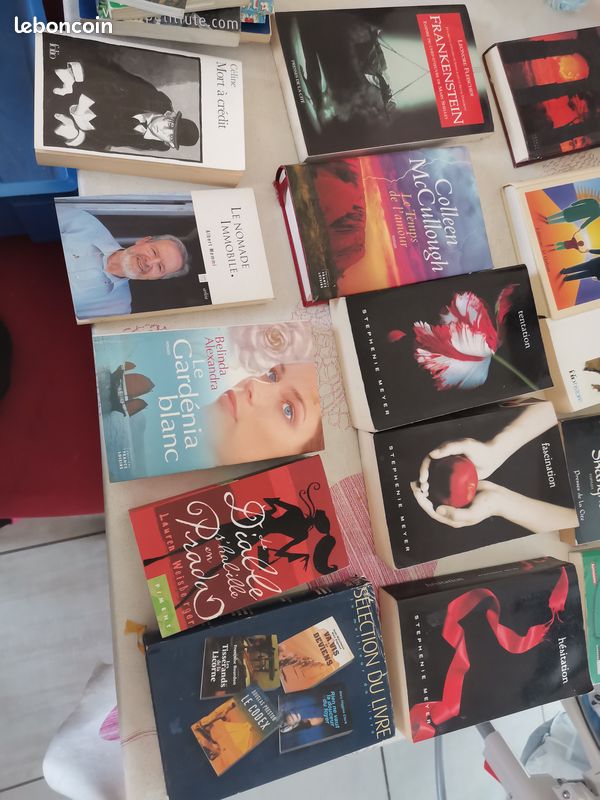 Divers livres fantastique, romance (image 2)
