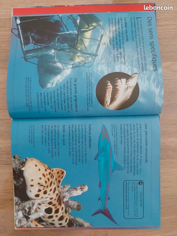 Livre "les requins" (image 2)