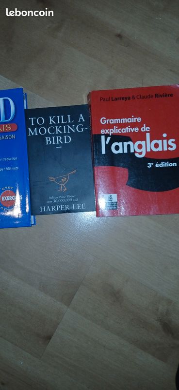 Lives Apprentissage ANGLAIS (image 1)