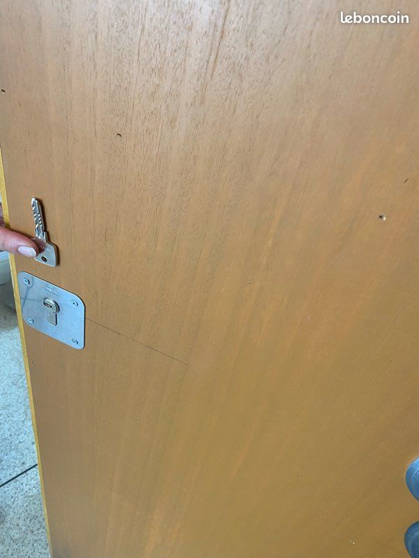 Système complet de verrouillage de porte d’entrée (image 7)