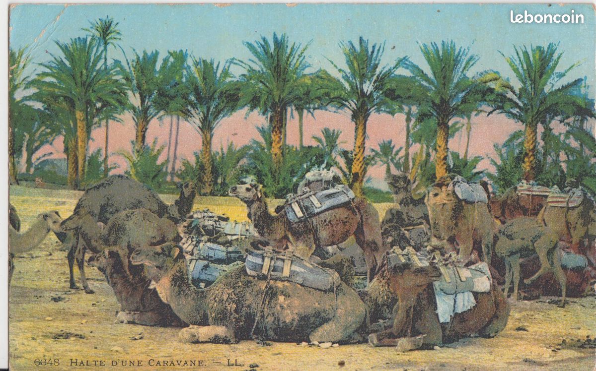 Maroc, Halte d'une caravane (image 1)
