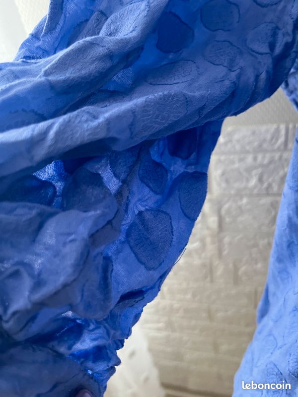 Plumetis bleu (image 4)