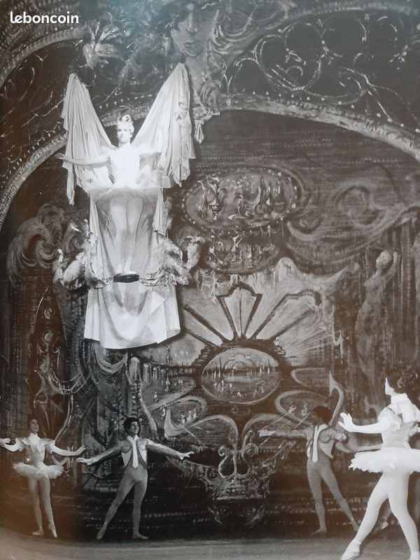 Beau livre sur les ballets de danse classique (image 3)
