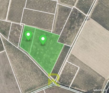 Terrain 12411 m² Raissac-d'Aude