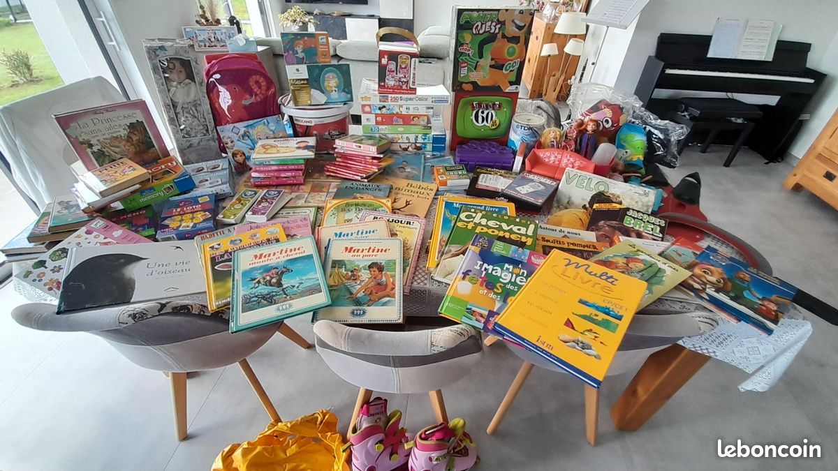 Gros lot de jouets, puzzles, livres, Lego, Barbie, micro karaoké, palmes, bottes de neige, jeux Meccano, valise éléphant : tout doit partir (image 1)