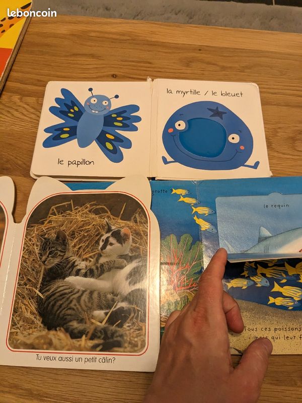 Lot 9 livres (image 5)