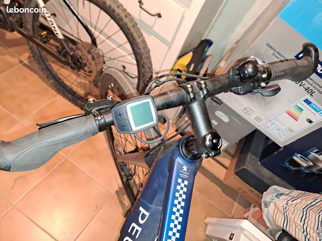 Peugeot ERO2 FlatBar PowerTube 2020 (image 3)