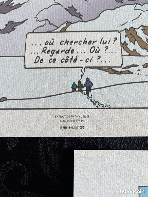 29 planches tintin collection (image 4)